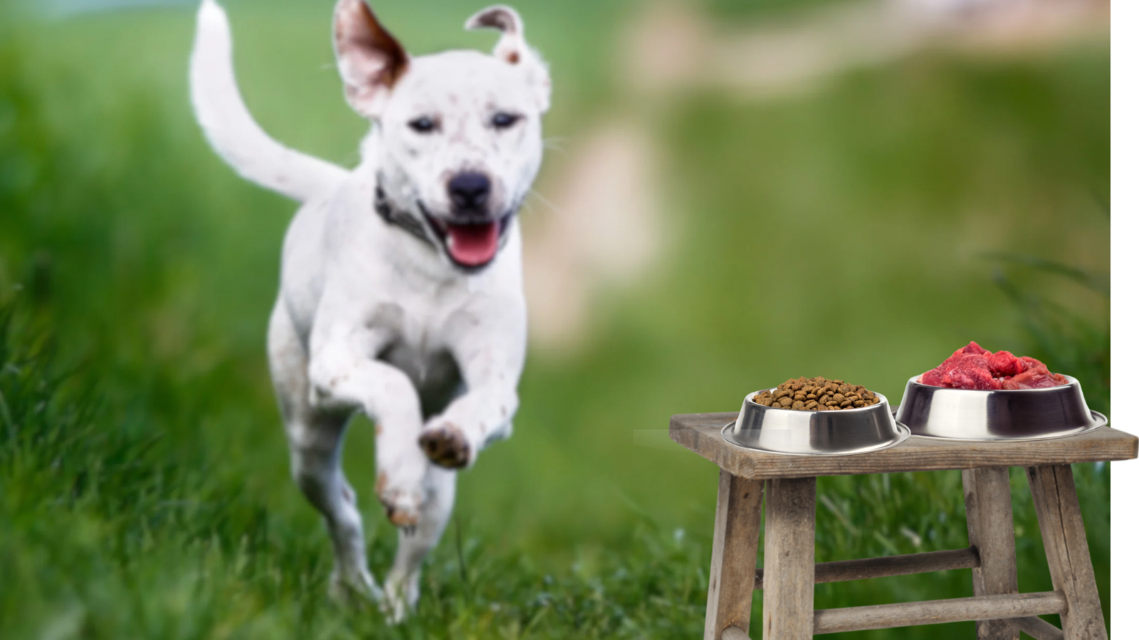 natürliche Ernährung